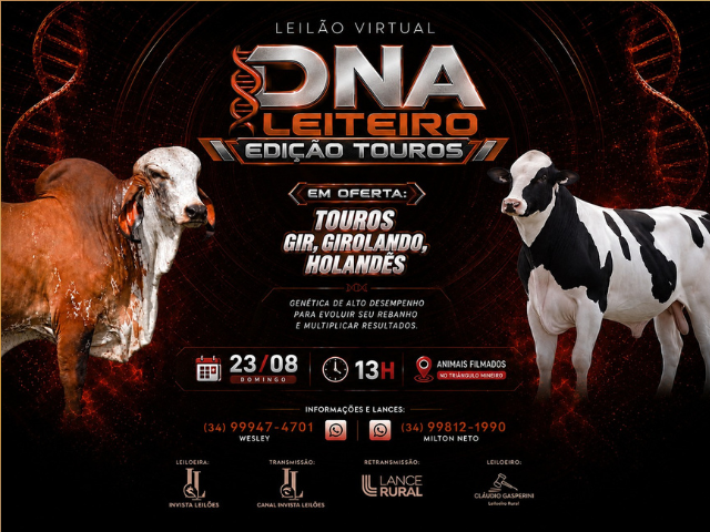 Leilão Virtual DNA Leiteiro – Edição Touros