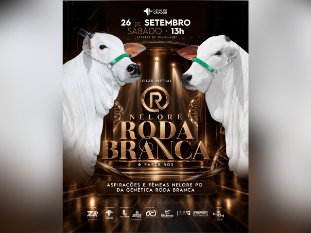 Leilão Virtual Nelore Roda Branca e Parceiros