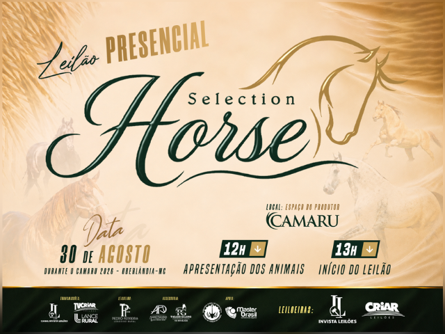 Leilão Presencial Selection Horse