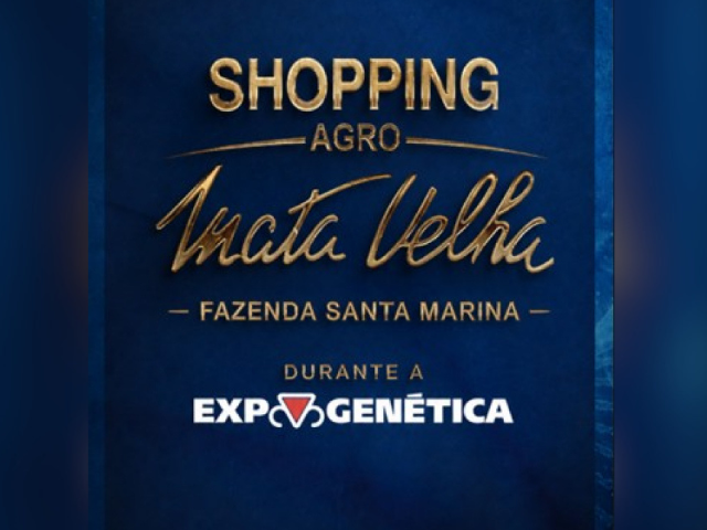 Live Mata Velha