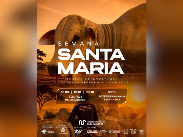Leilão Semana Santa Maria – Touros Melhoradores