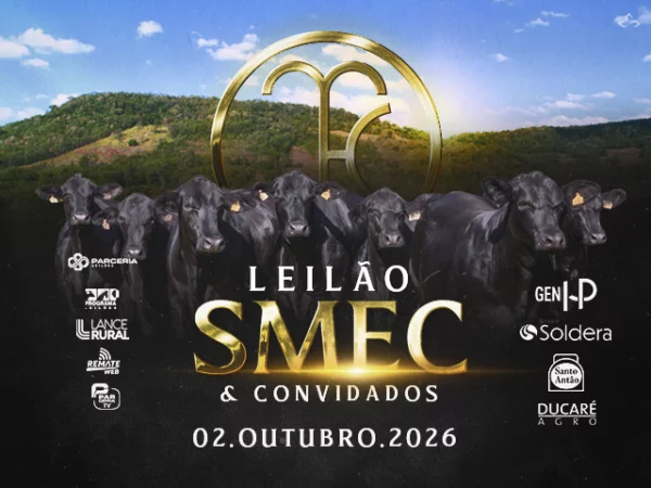 Leilão SMEC & Convidados