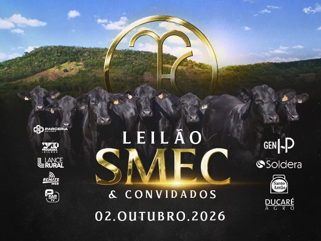 Leilão SMEC & Convidados