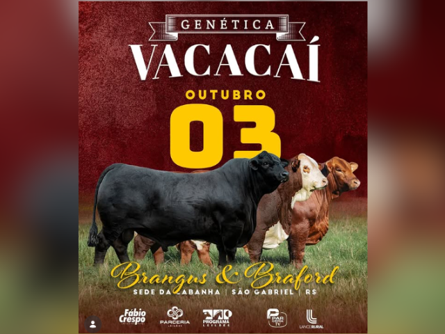 Leilão Genética Vacacaí