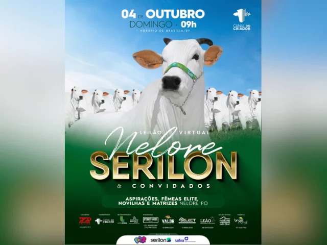 Leilão Virtual Nelore Serilon e Convidados