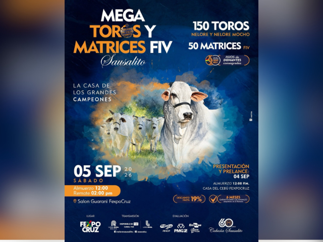 Remate Mega Toros Y Matrices FIV