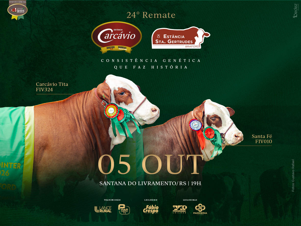 24º Remate Est. Carcávio e Est. Sta. Gertrudes