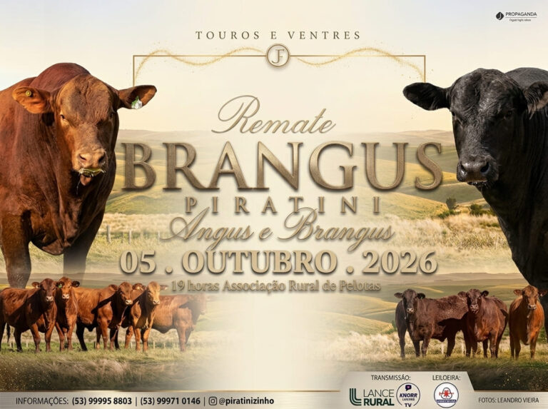 Remate Brangus Pirantini