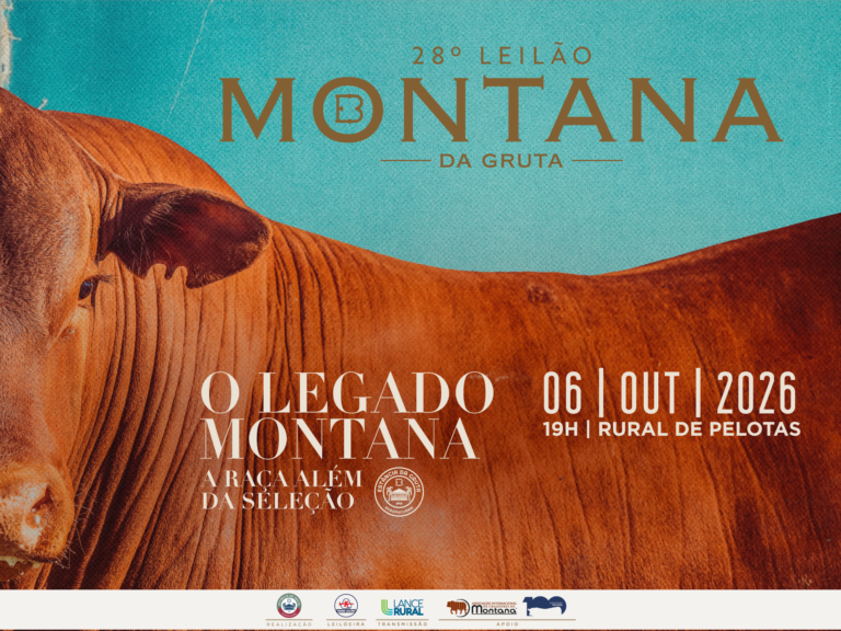 28º Leilão Montana da Gruta