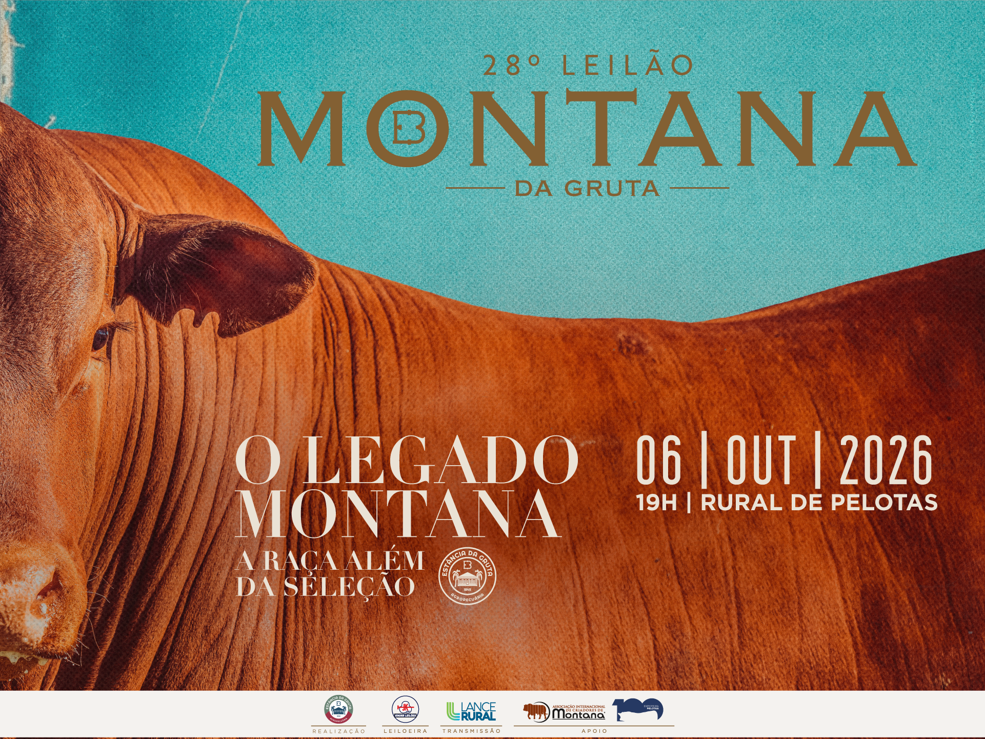 28º Leilão Montana da Gruta
