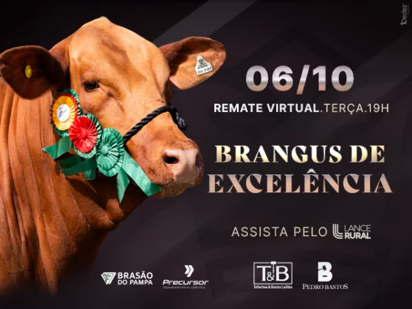 Remate Virtual Brangus de Excelência