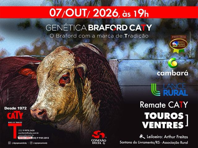 Leilão Génetica Braford Caty