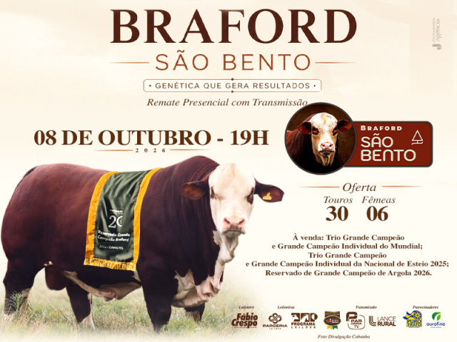 Remate Braford São Bento