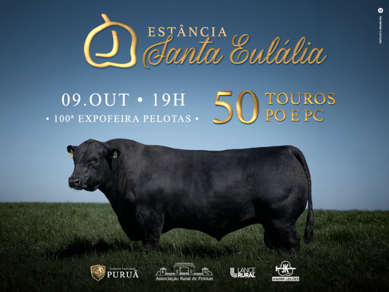 Remate Estãncia Santa Eulália