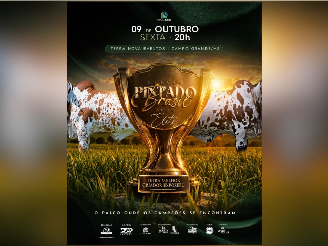 Leilão Pintado Brasil 20226 – Elite