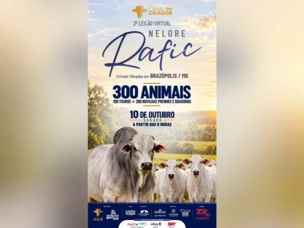 2° Leilão Virtual Nelore Rafic