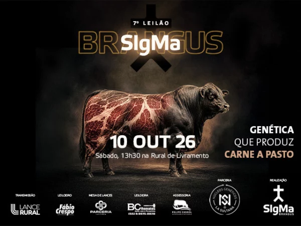 7º Leilão Sigma Brangus