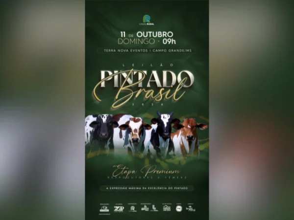 Leilão Pintado Brasil 2026 – Etapa Premium