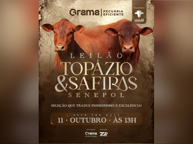 Leilão Topázio & Safiras Senepol