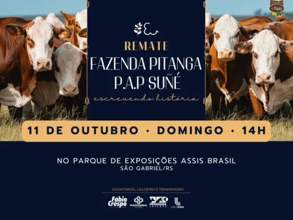 Remate Fazenda Pitanga P.AP Suñé