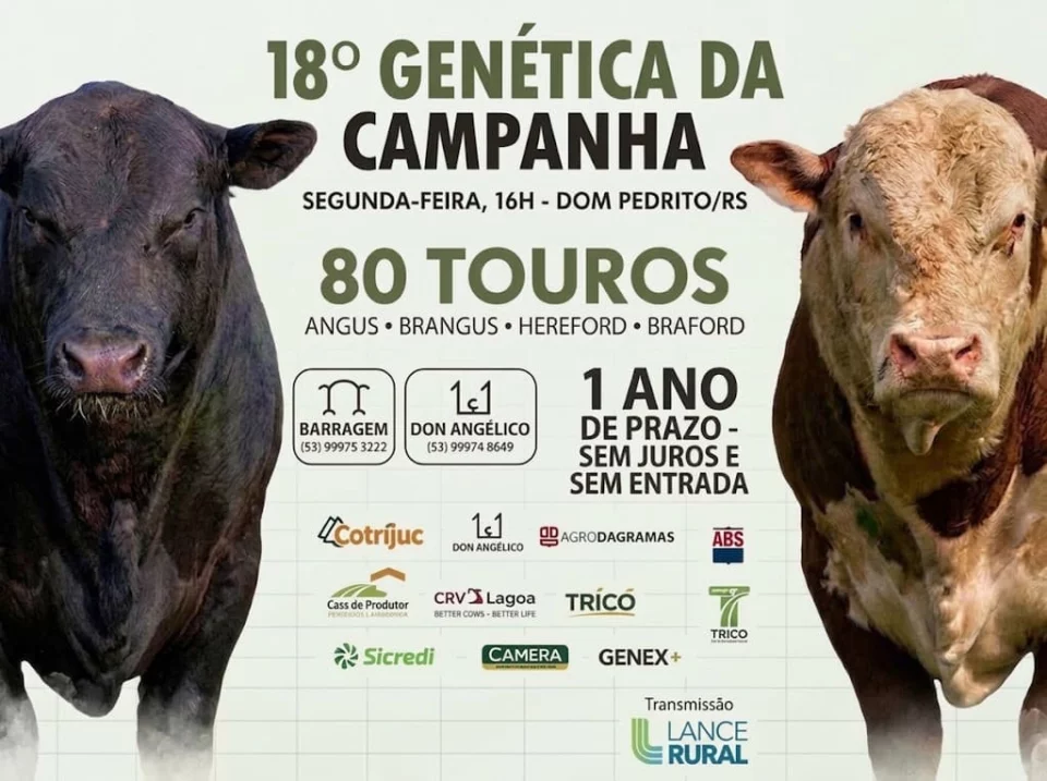 18º Leilão Genética da Campanha