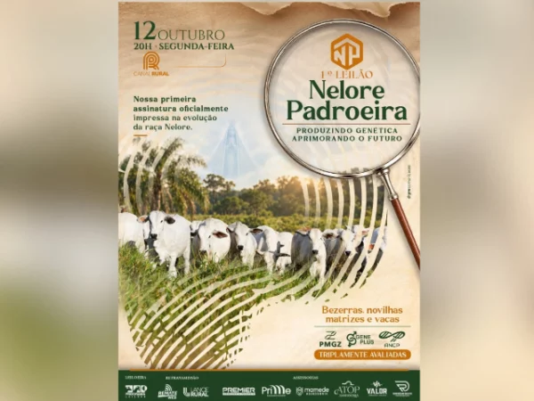 1º Leilão Nelore Padroeira