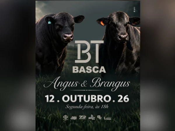 BT Basca Angus e Brangus