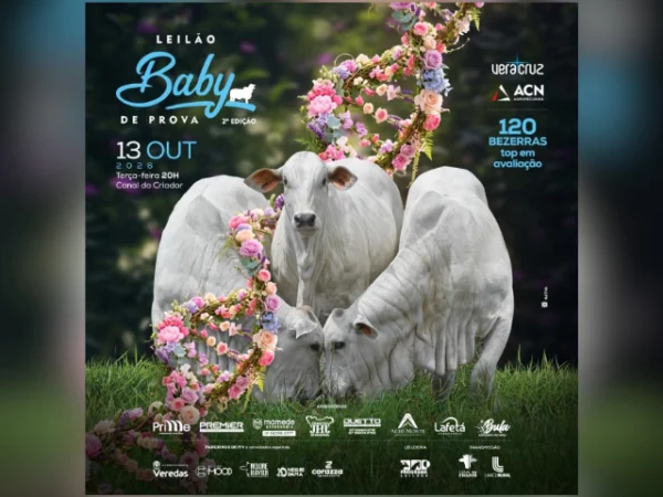Leilão Baby De Prova – 2ª Edição Bezerras
