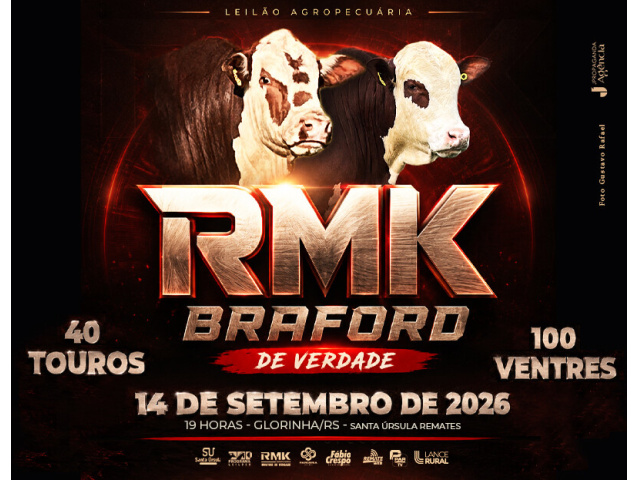 Leilão Agropecuária RMK Braford De Verdade