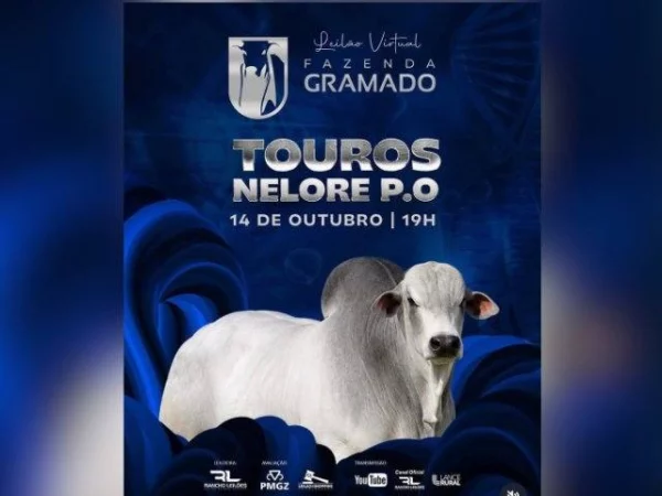 Leilão Virtual Fazenda Gramado – Etapa Touros