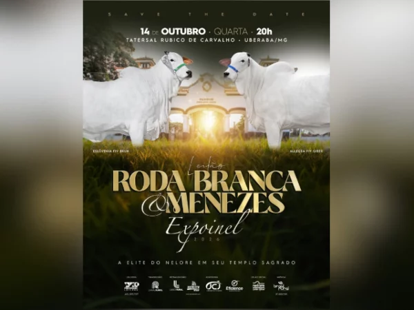 Leilão Roda Branca & Menezes Expoinel 2026