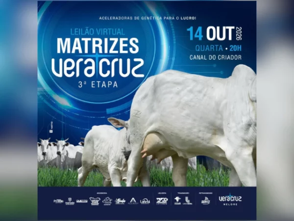 Leilão Virtual Matrizes Vera Cruz – 3° Etapa