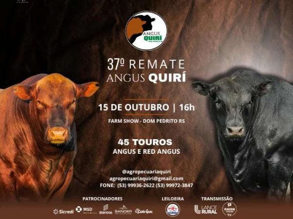 37º Remate Angus Quiri