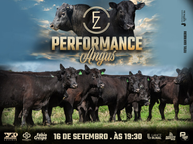 Leilão Perfomance Angus
