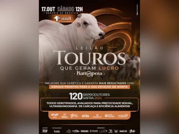 Leilão Touros Que Geram Lucro – Katispera