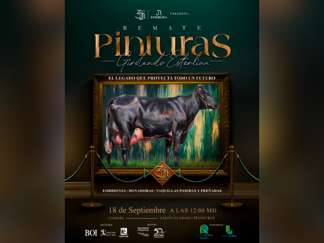 12º Remate Pinturas Girolando