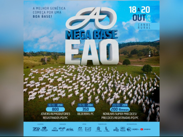 Leilão Mega Base EAO – Etapa Bezerras
