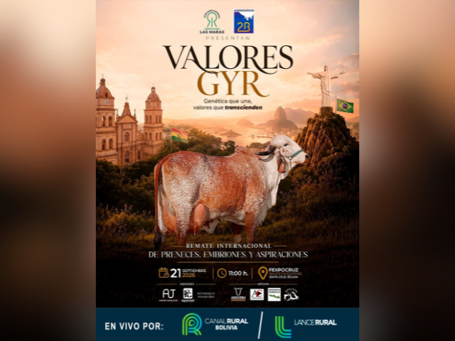 Remate Valores GYR