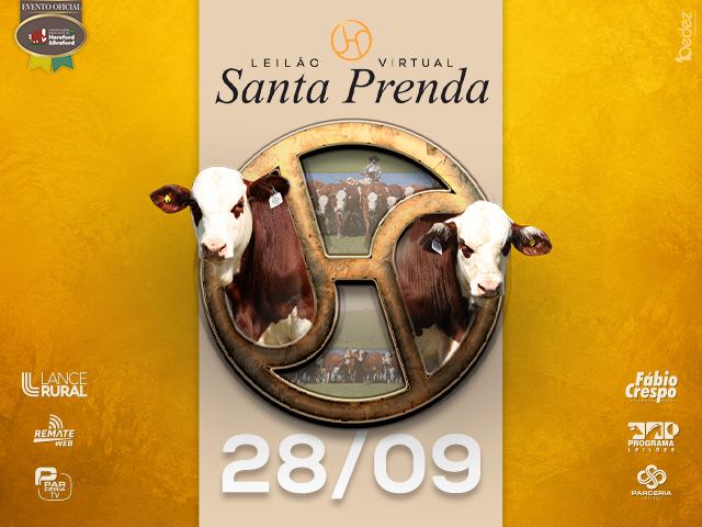 Leilão Virtual Santa Prenda