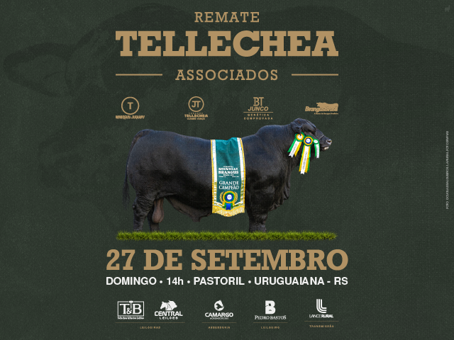 Remate Tellechea e Associados
