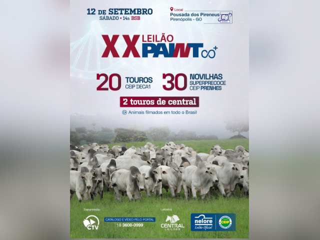 XX Leilão Paint