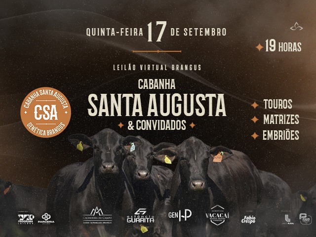 LEILÃO VIRTUAL BRANGUS CABANHA SANTA AUGUSTA
