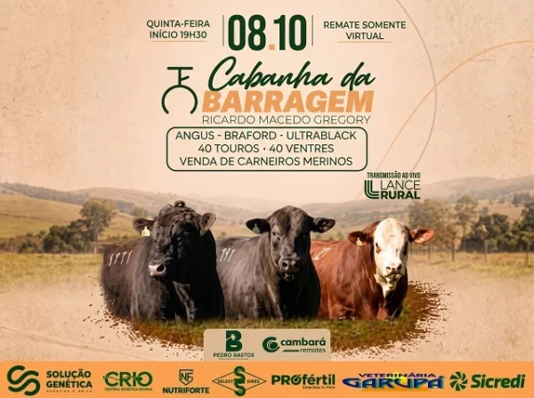 Remate Cabanha Da Barragem