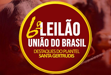 6º Leilão Virtual União Do Brasil
