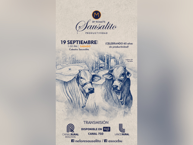 35º Remate Sausalito Productividad