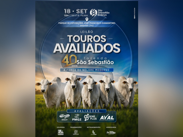 Leilão Touros Avaliados Fazenda São Sebastião