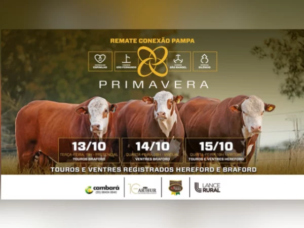 Conexão Pampa Primavera – Etapa Ventres Braford