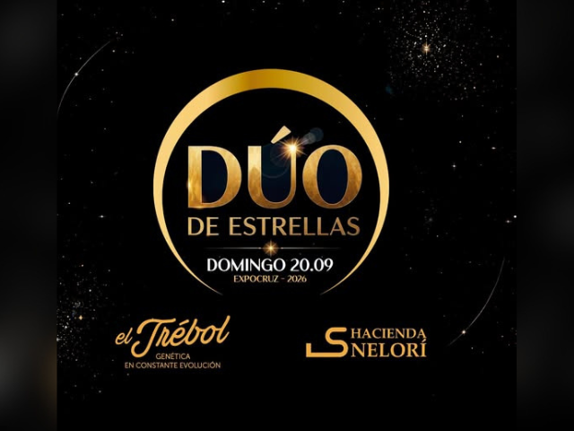 Remate Dúo De Estrellas