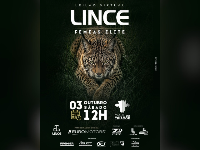 Leilão Virtual Lince – Fêmeas Elite
