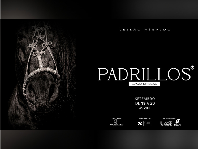 Leilão Hibrido Padrillo – Edição Especial